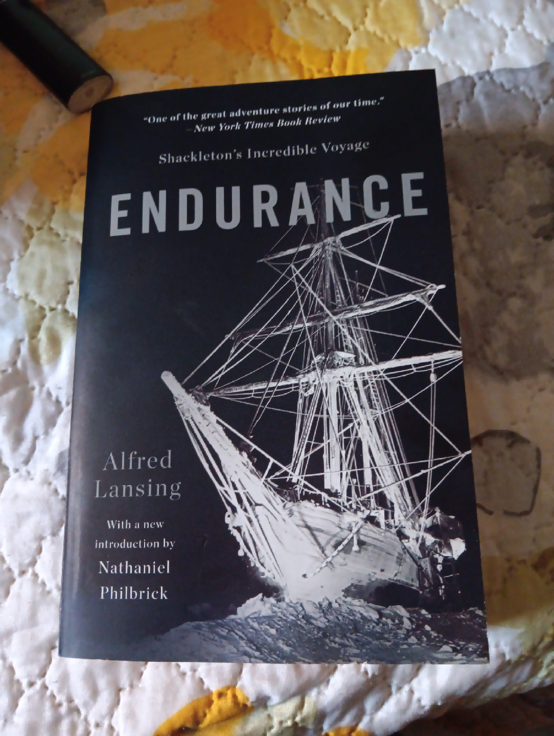 Endurance: Shackleton's Incredible Voyage by Alfred Lansing thumbnail