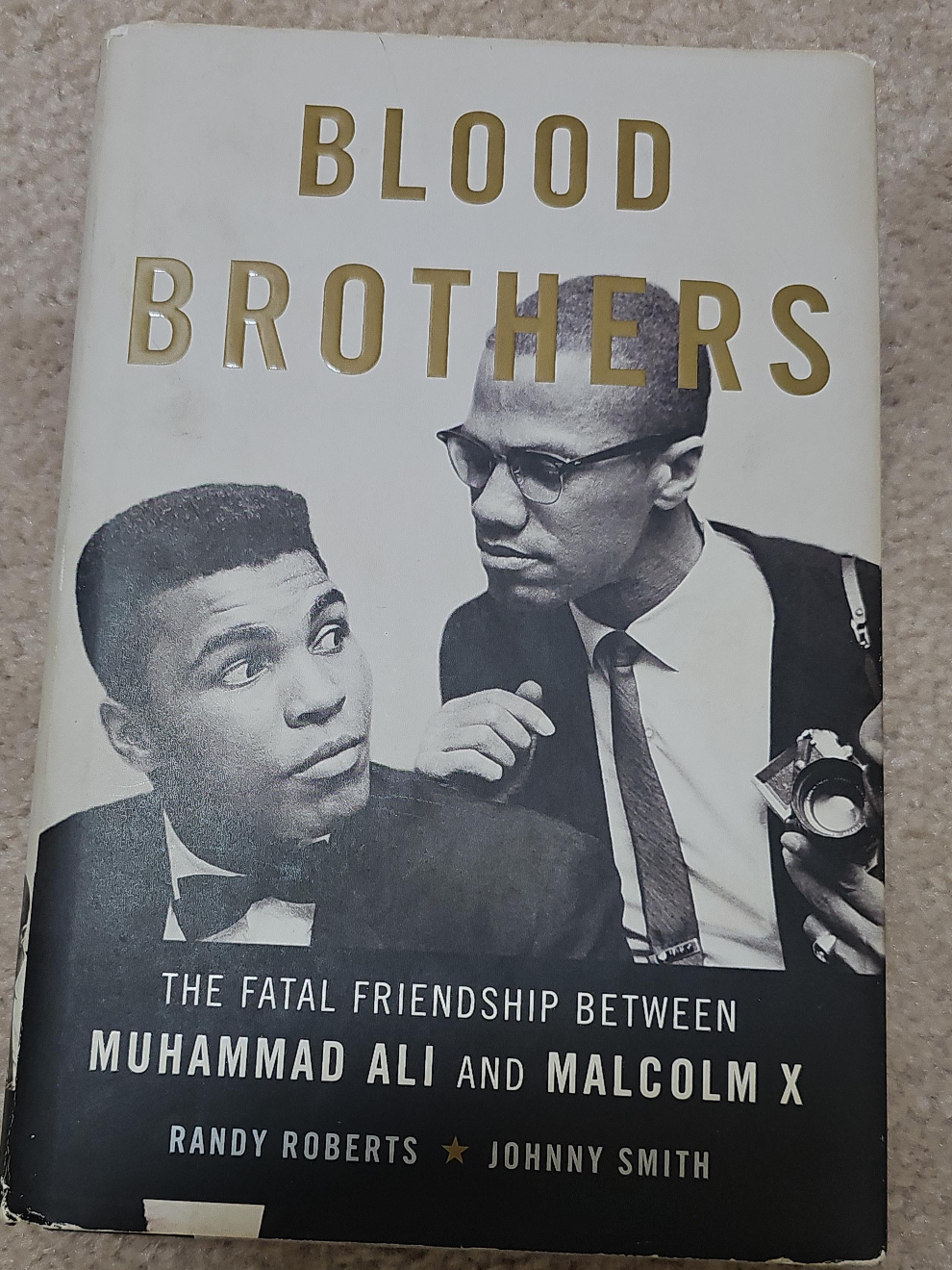 Blood Brothers: Muhammad Ali and Malcolm X Book thumbnail