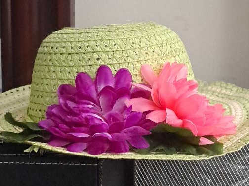 Floral Decorated Straw Hat🥕 thumbnail
