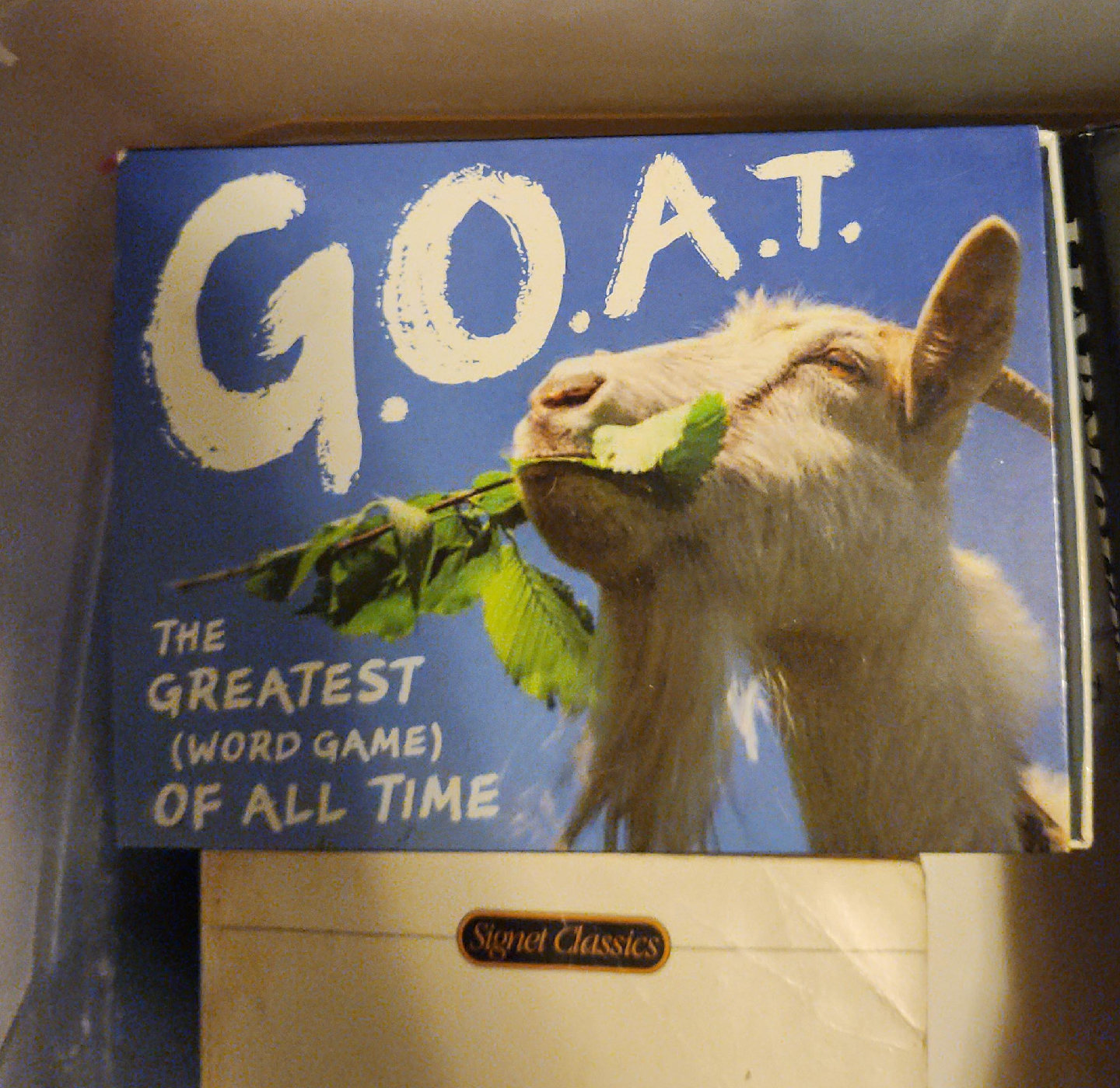 G.O.A.T. The Greatest Word Game of All Time thumbnail