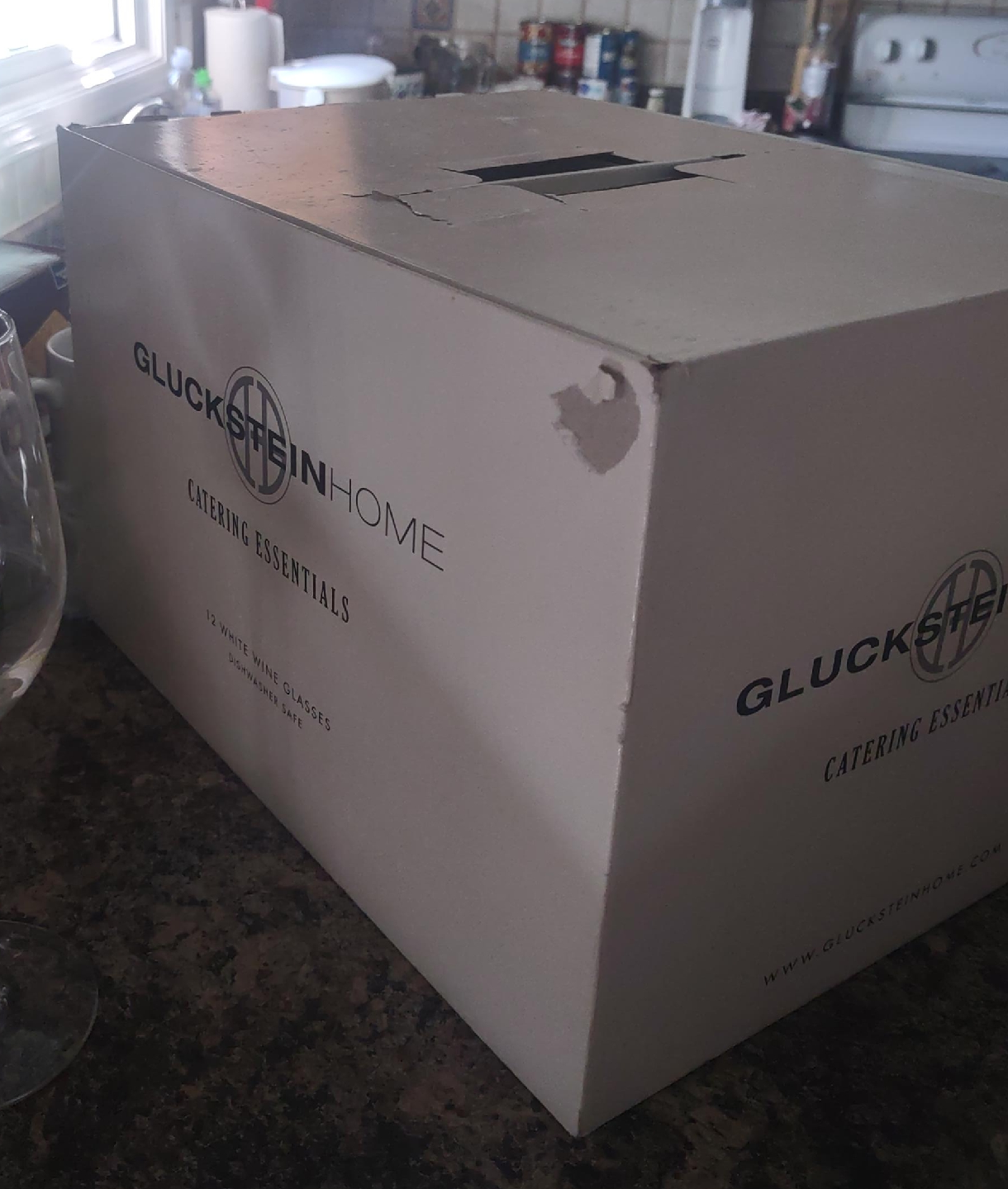 GlucksteinHome Wine Glasses - Set of 12