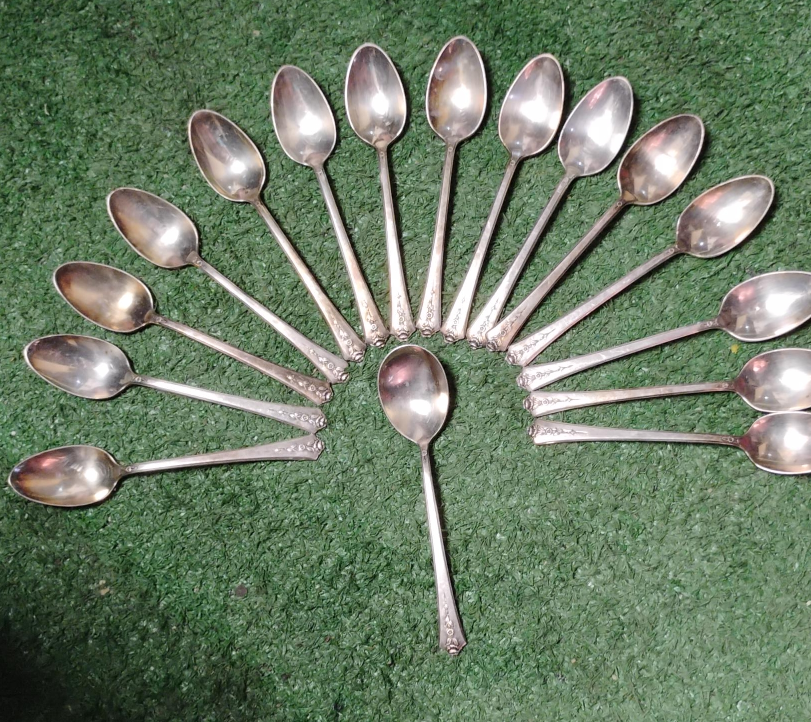 Silver Plated Spoons - Set of 15