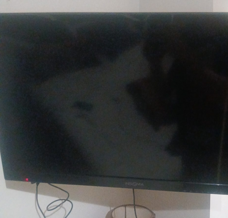 Insignia TV