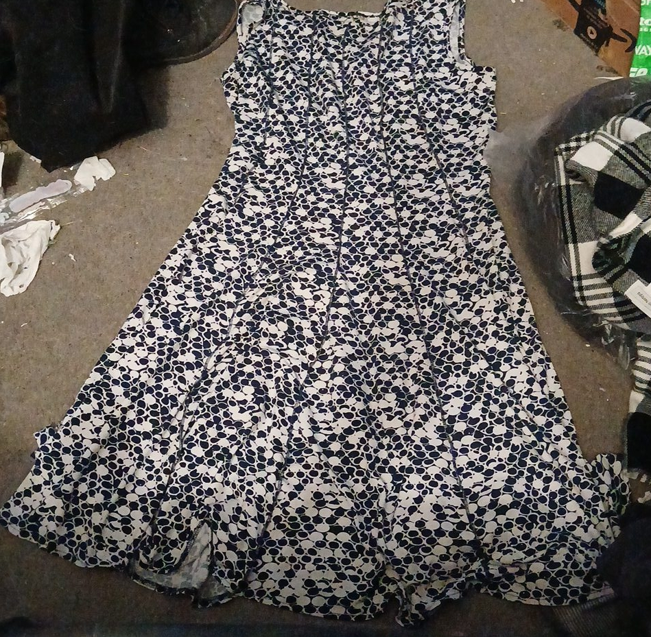 Floral Sleeveless Dress thumbnail