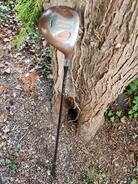 Stinger Old Tour Driver Golf Club thumbnail
