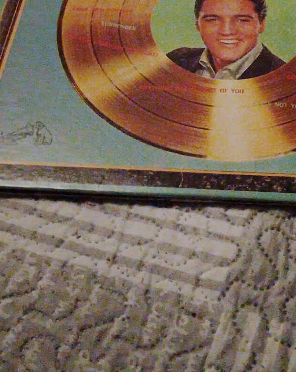 Elvis Presley Vinyl Record thumbnail
