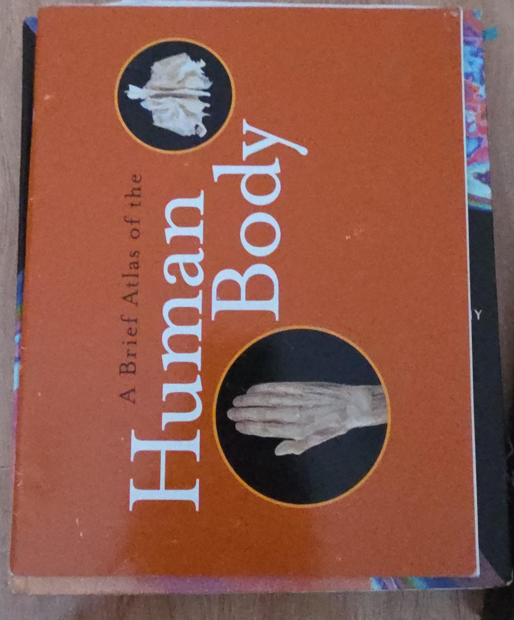 Human Body: A Brief Atlas