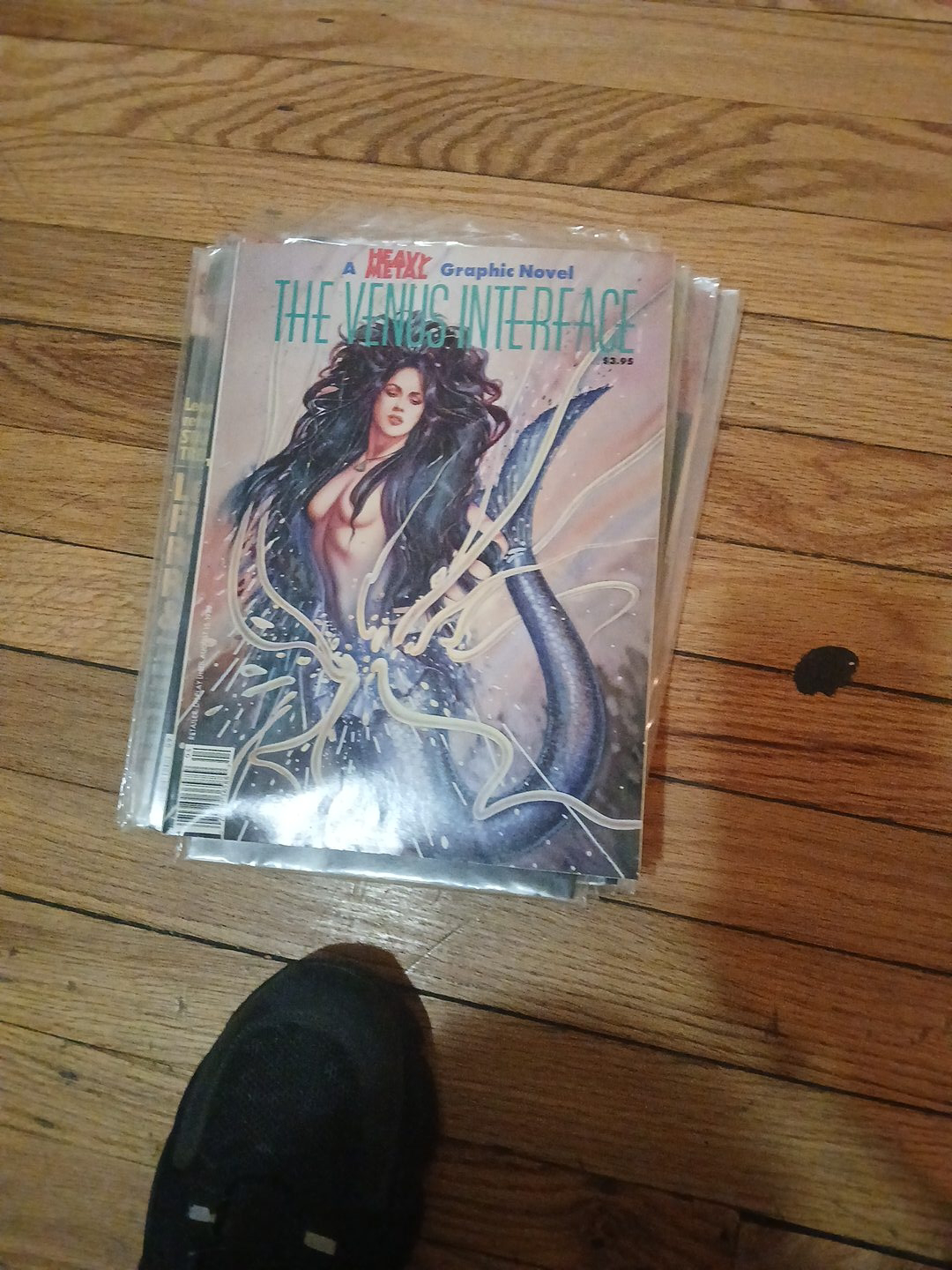 Heavy Metal Graphic Novel: The Venus Interface thumbnail