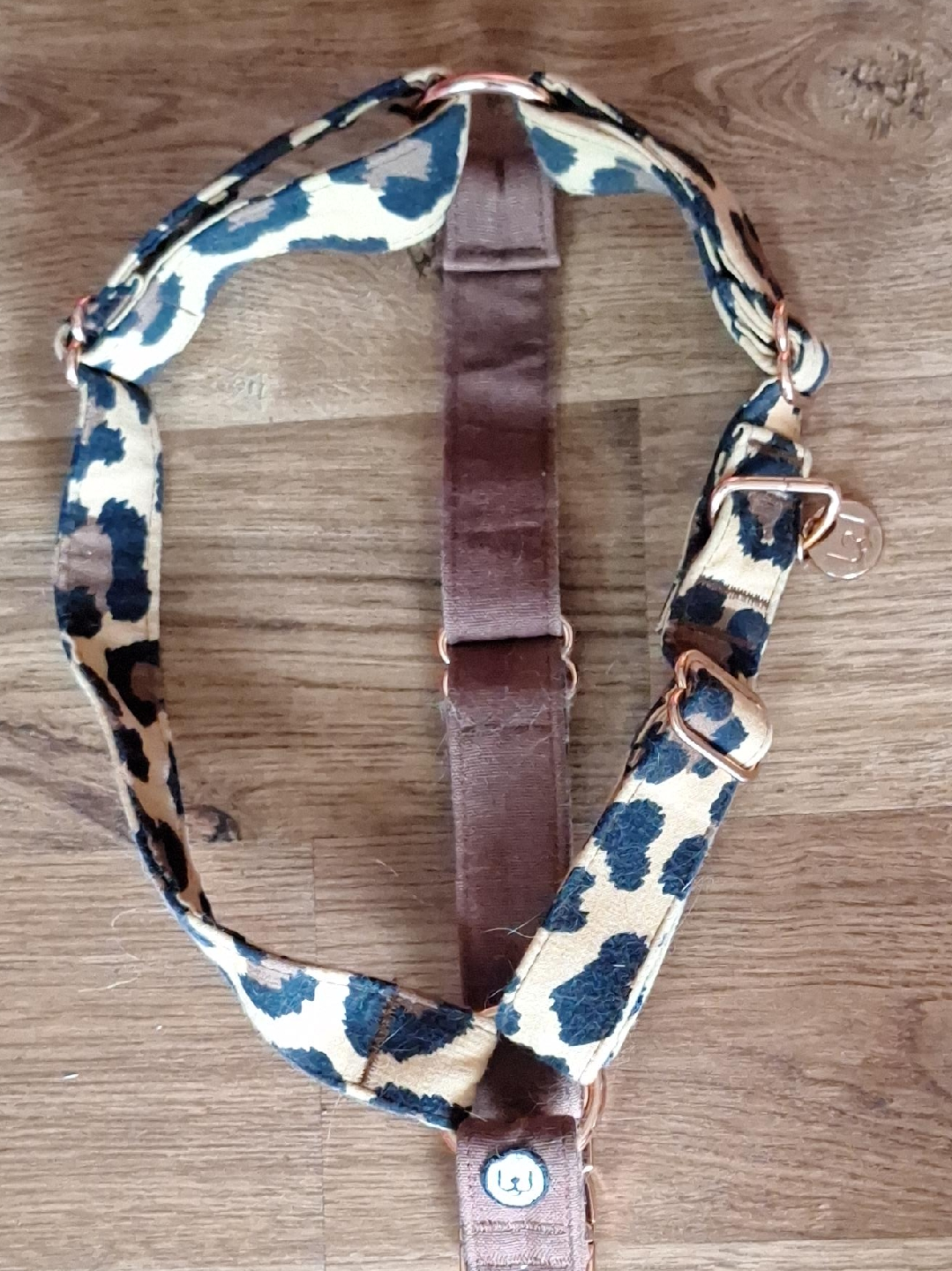 RC Pets Leopard Print Dog Harness - Medium thumbnail