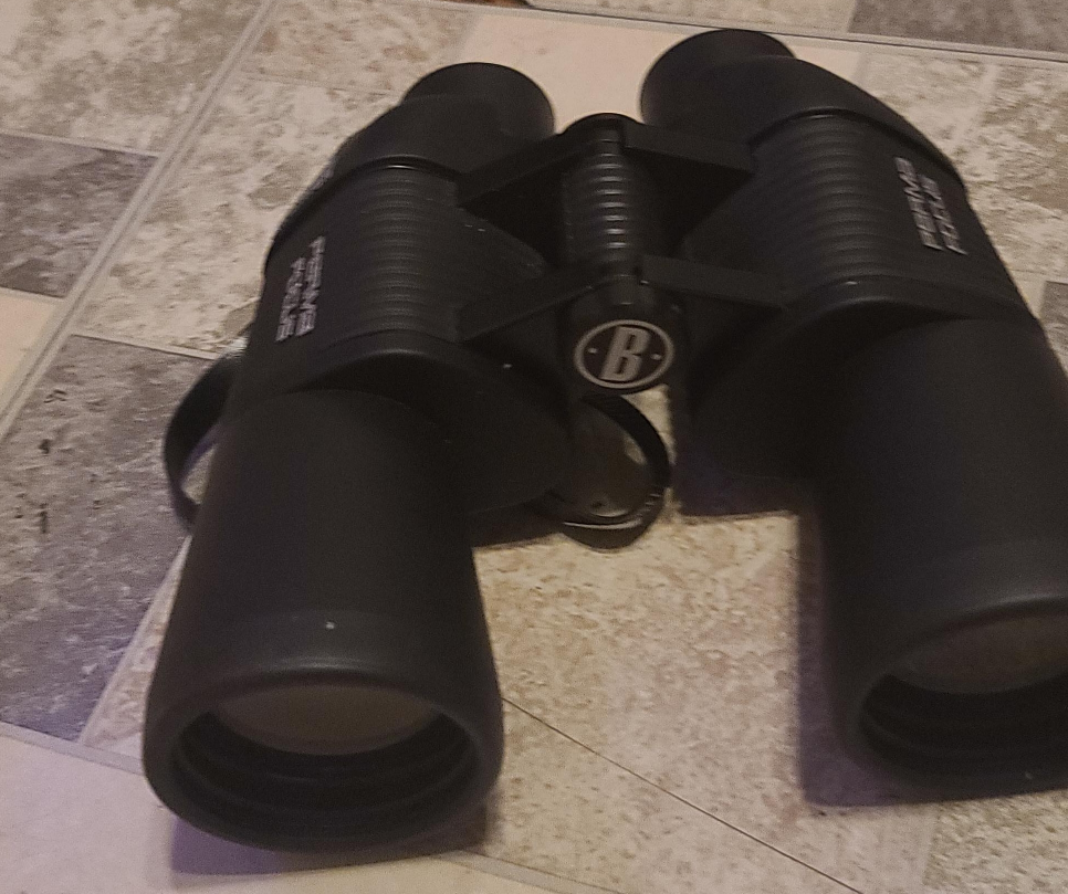 Bushnell Perma Focus Binoculars thumbnail