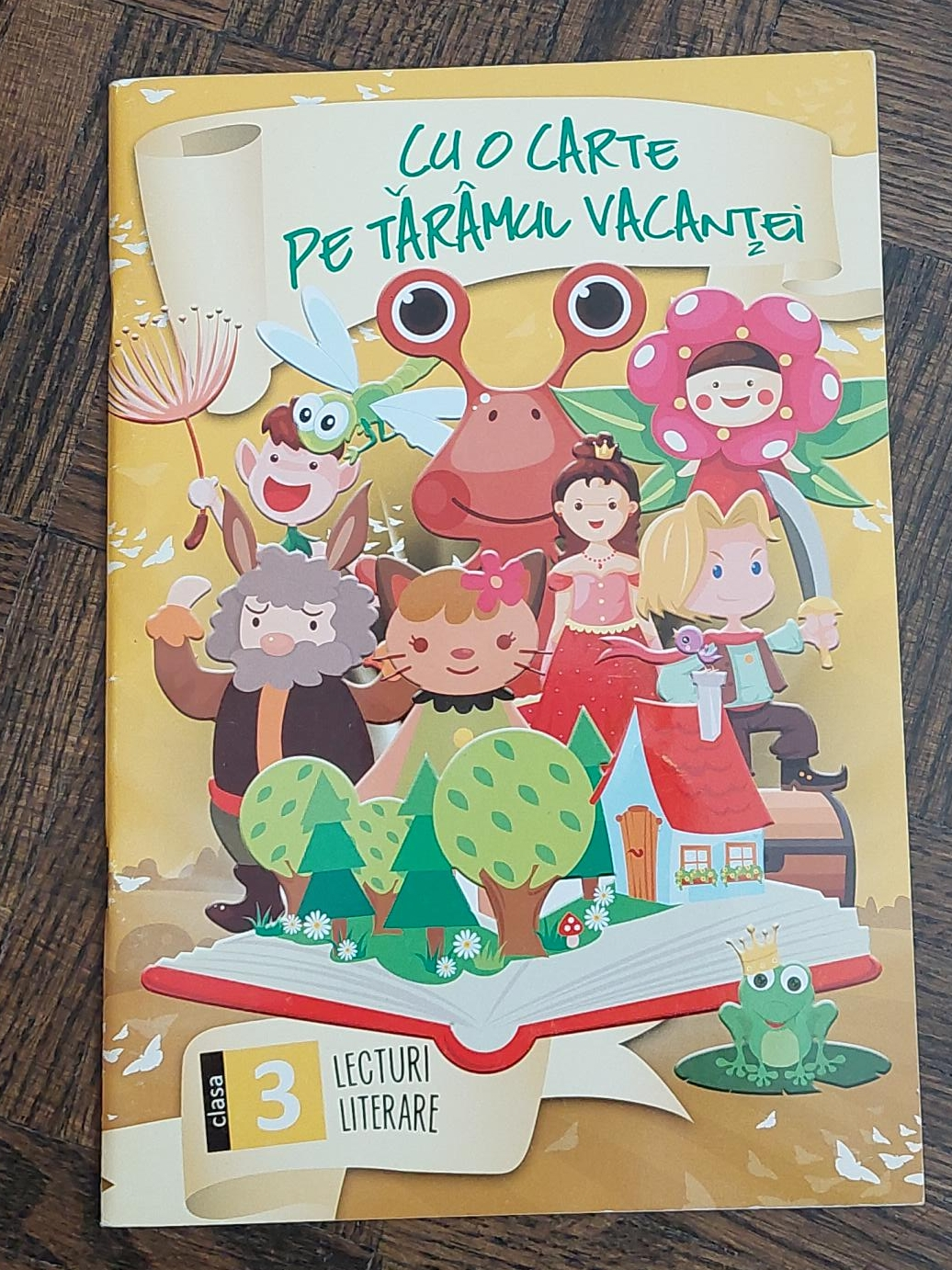 Cu o Carte Pe Taramul Vacantei - Children's Book