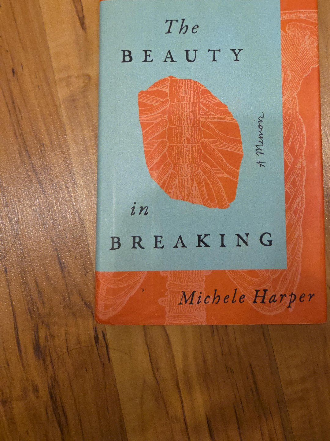 The Beauty in Breaking by Michele Harper thumbnail