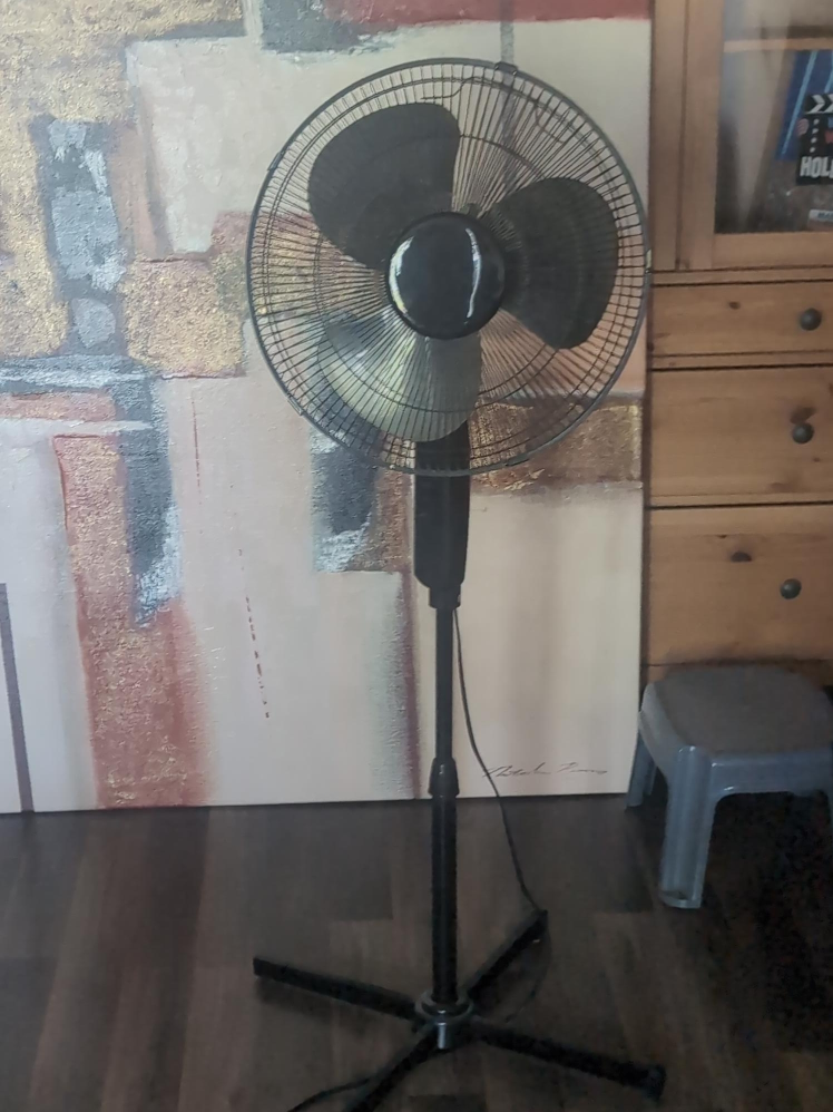 Black Stand Up Fan