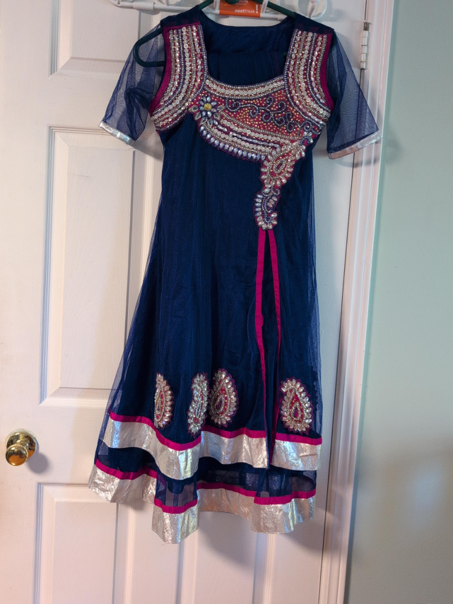 Blue Embellished Indian Dress thumbnail