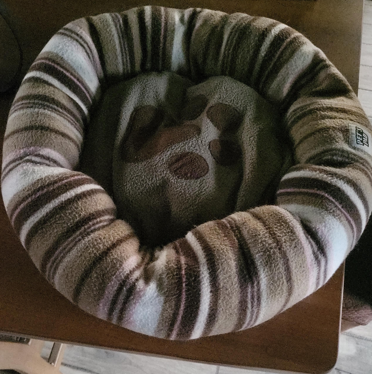 Peekaboo Pet Bed - Striped thumbnail