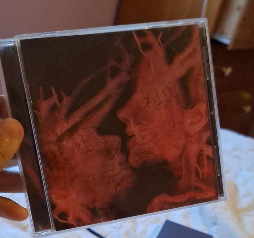 Seether - disclaimer II CD thumbnail