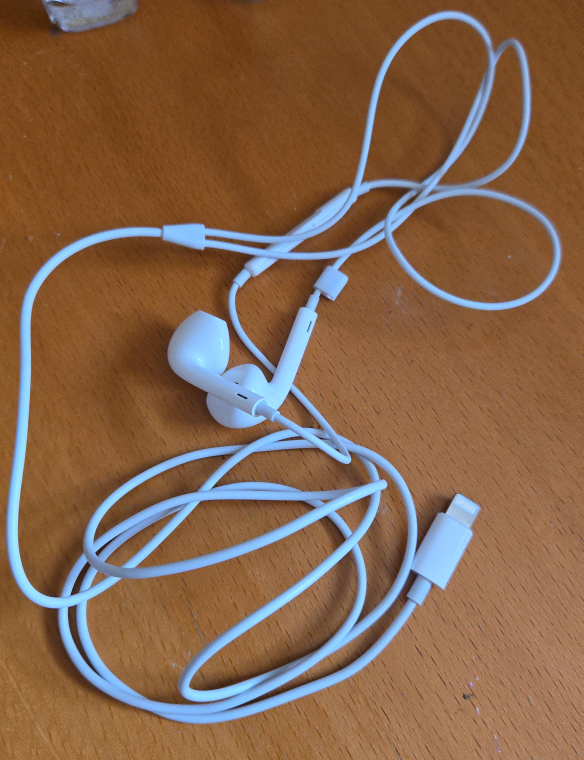 Apple EarPods - Lightning Connector