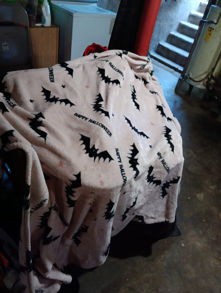 Halloween Bat Print Blanket thumbnail