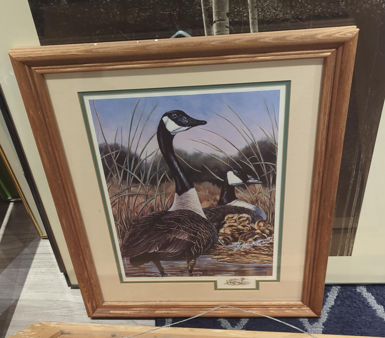 Framed Goose Print