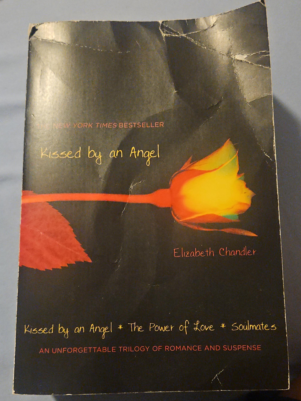 Kissed by an Angel by Elizabeth Chandler thumbnail