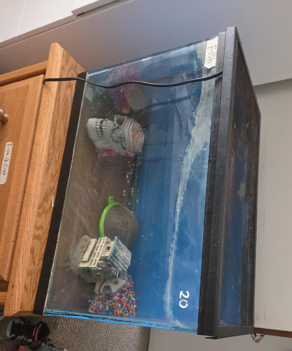 20 Gallon Fish Tank with Accessories