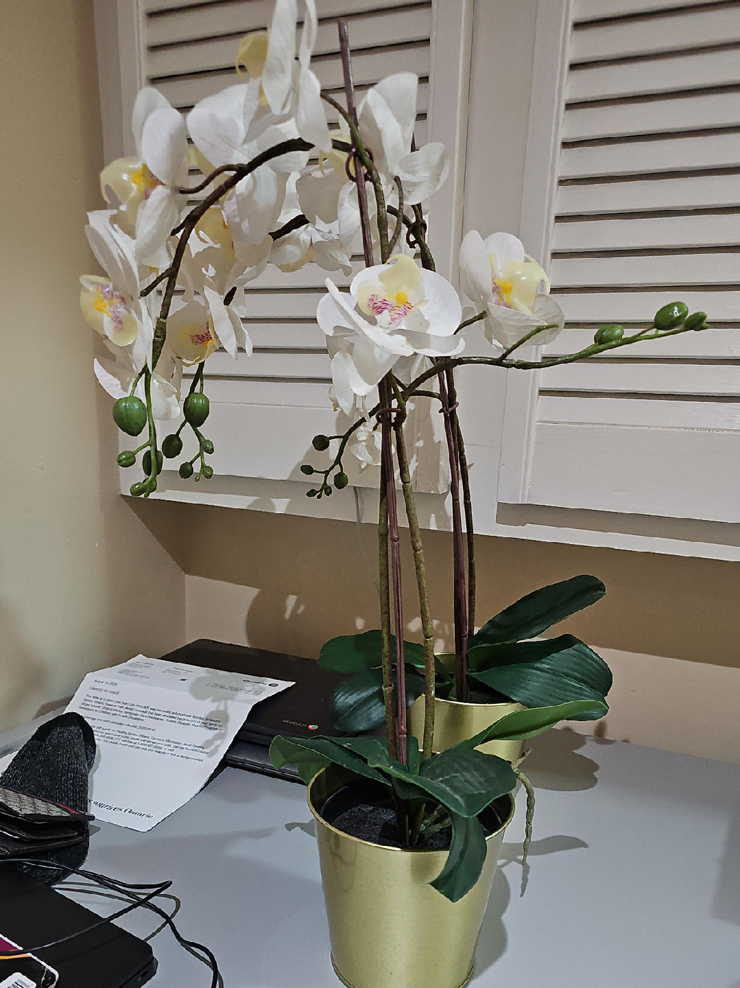 Artificial White Orchid in Gold Pot thumbnail