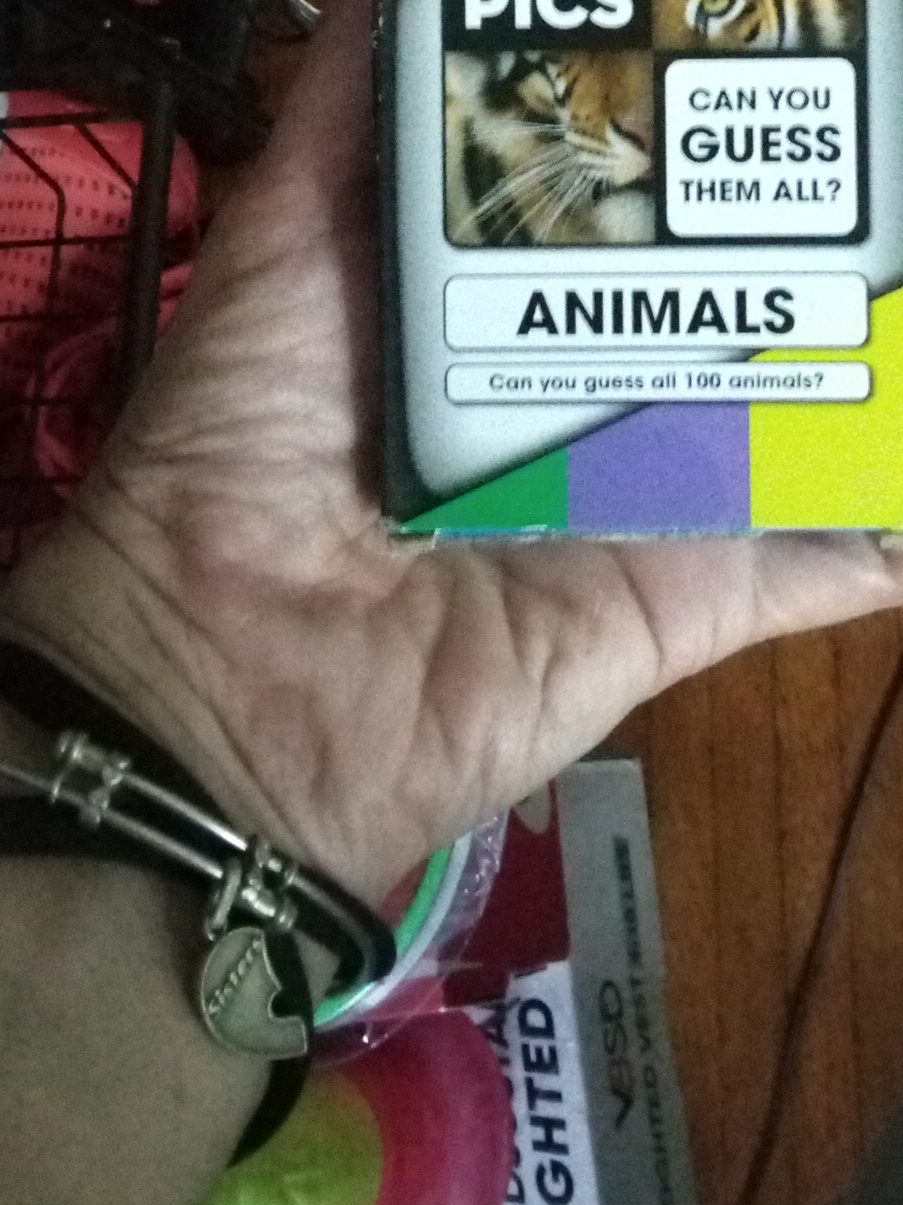 Animals Guessing Game thumbnail