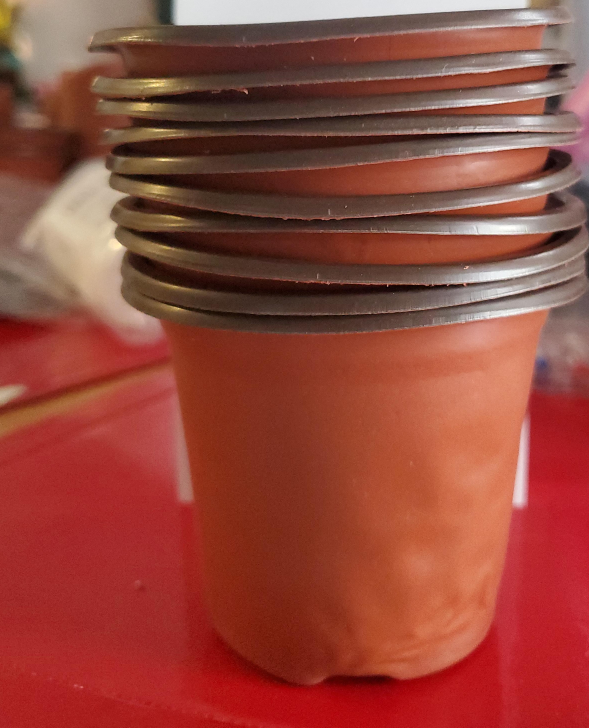 Small Brown Plastic Plant Pots - Set of 10