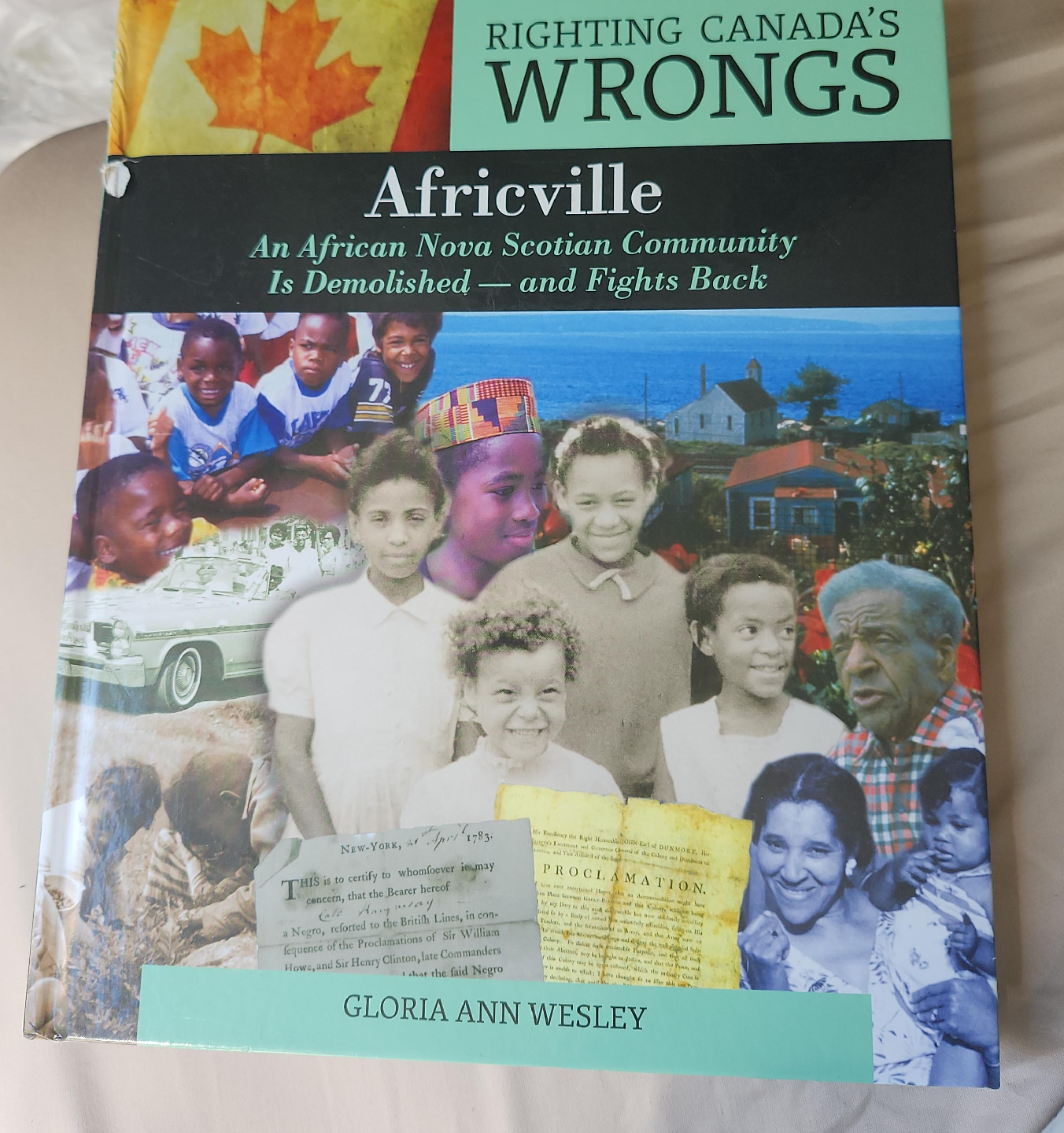 Righting Canada's Wrongs: Africville by Gloria Ann Wesley thumbnail