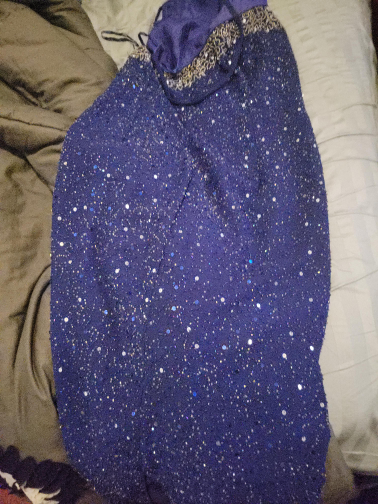 Sparkly Blue Dress thumbnail