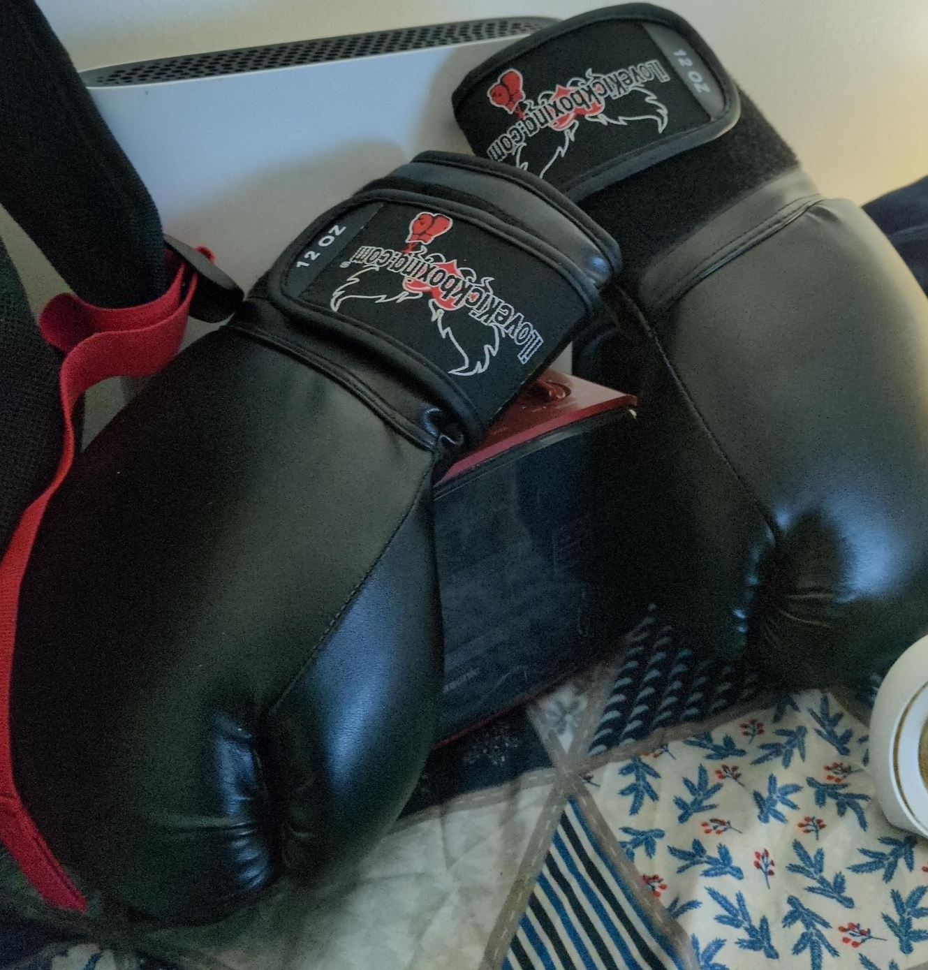 Love Kickboxing 12 oz Boxing Gloves thumbnail