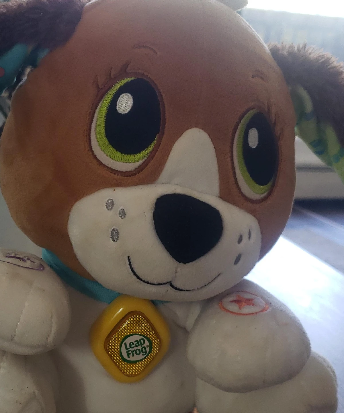 toy dog thumbnail
