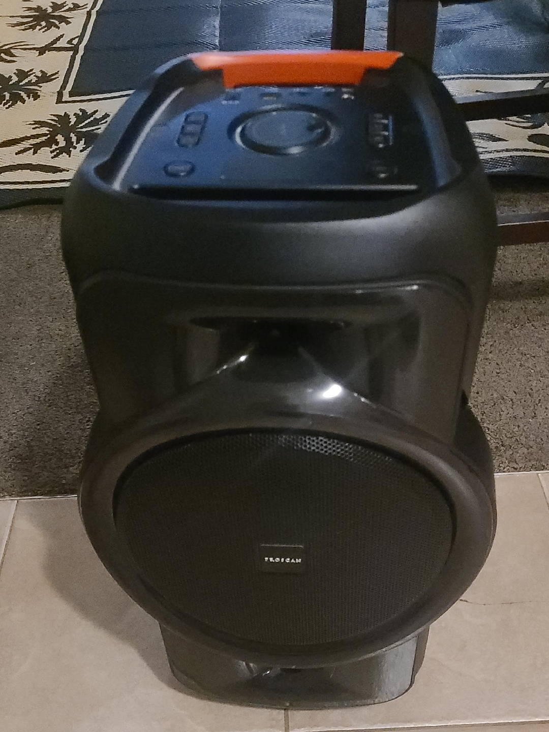 Proscan Bluetooth Speaker with Flame LED Lights