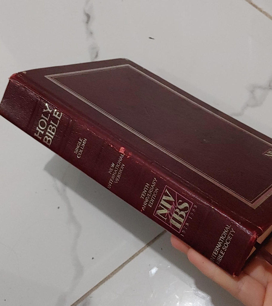 Holy Bible NIV International Version thumbnail