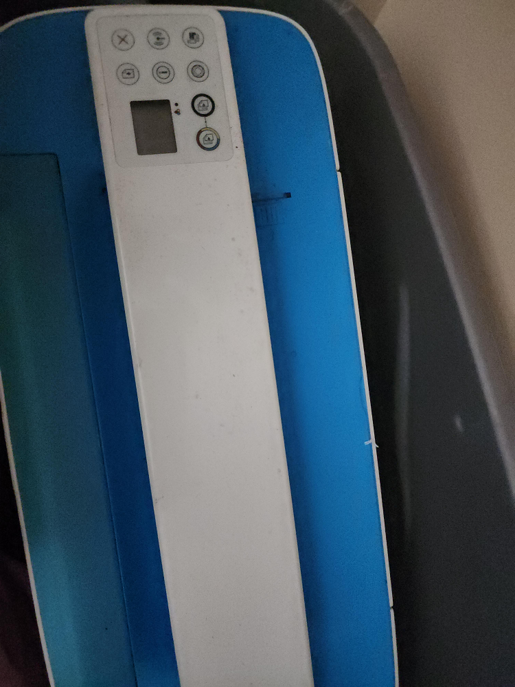 HP Printer - Blue and White