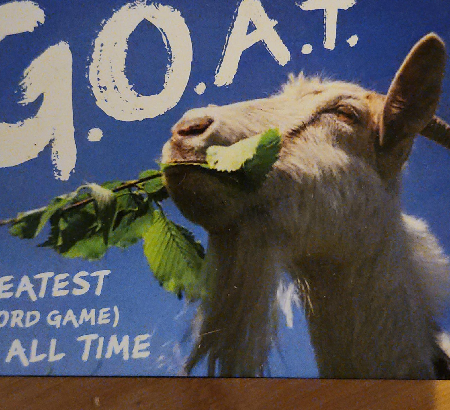 gamr thumbnail