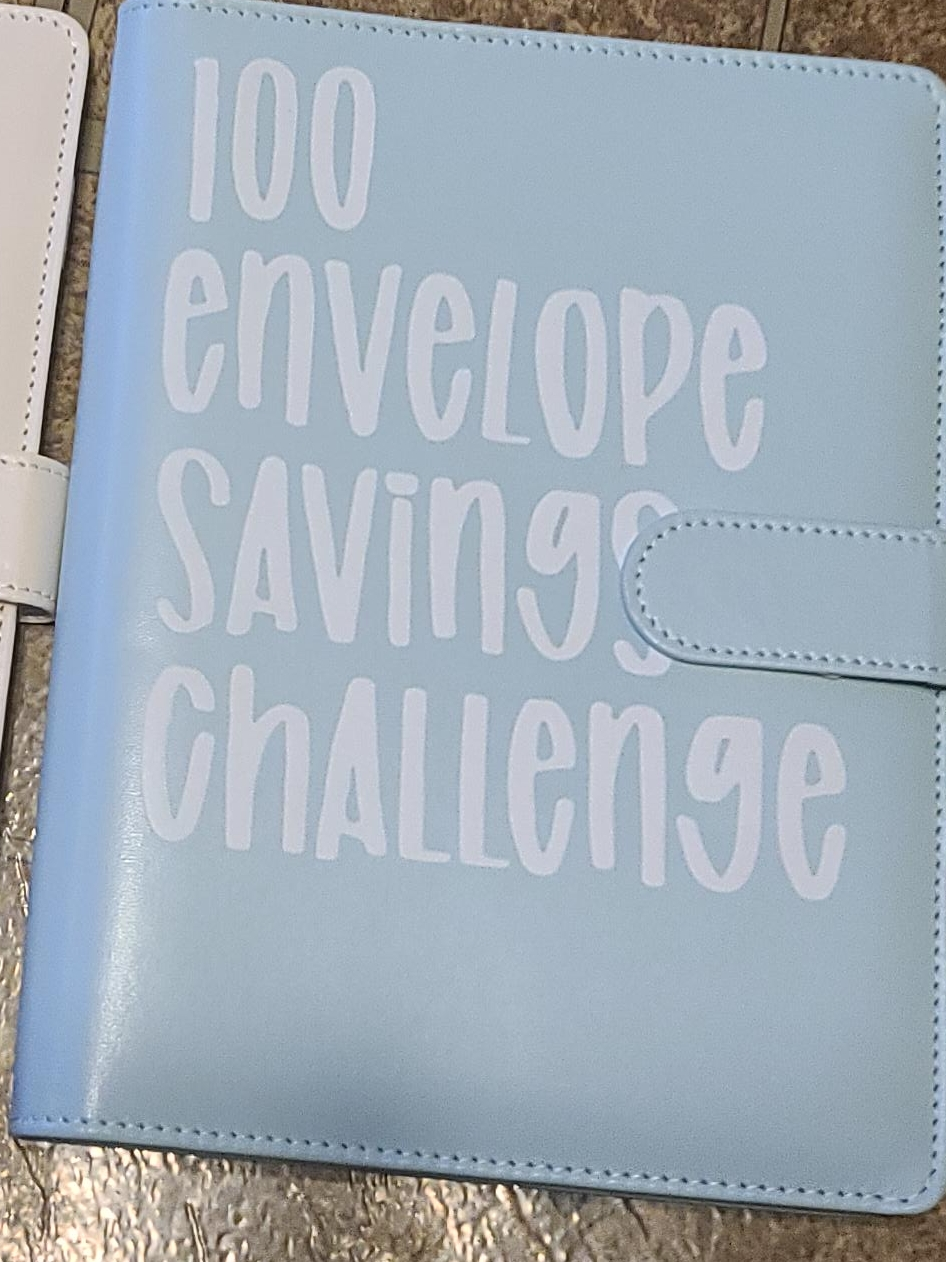 100 Envelope Savings Challenge Binder thumbnail