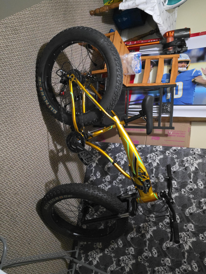 Gunrose Fat Tire Bike - Gold