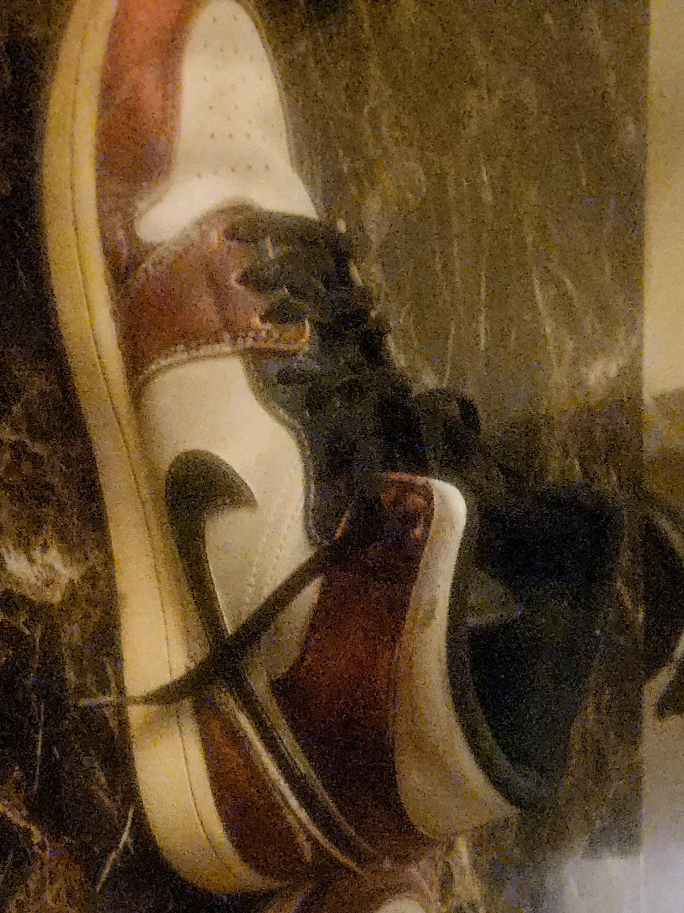 Nike Air Jordan 1 Shoe thumbnail