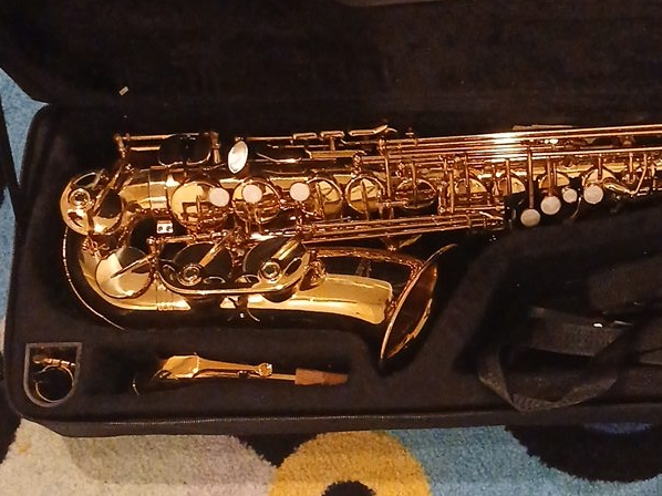 Saxophone in Case thumbnail