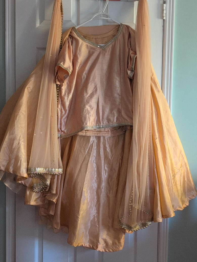 Peach Lehenga Choli with Dupatta thumbnail