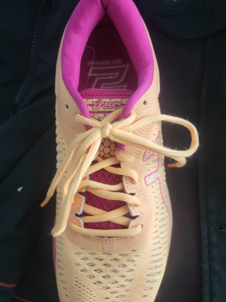 Asics Gel-Kayano 29 Women's Running Shoe thumbnail