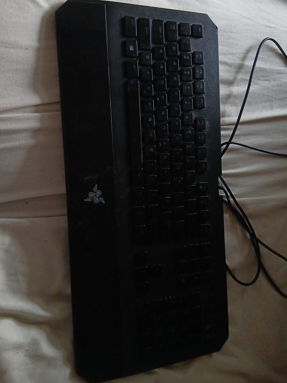 Razer Gaming Keyboard