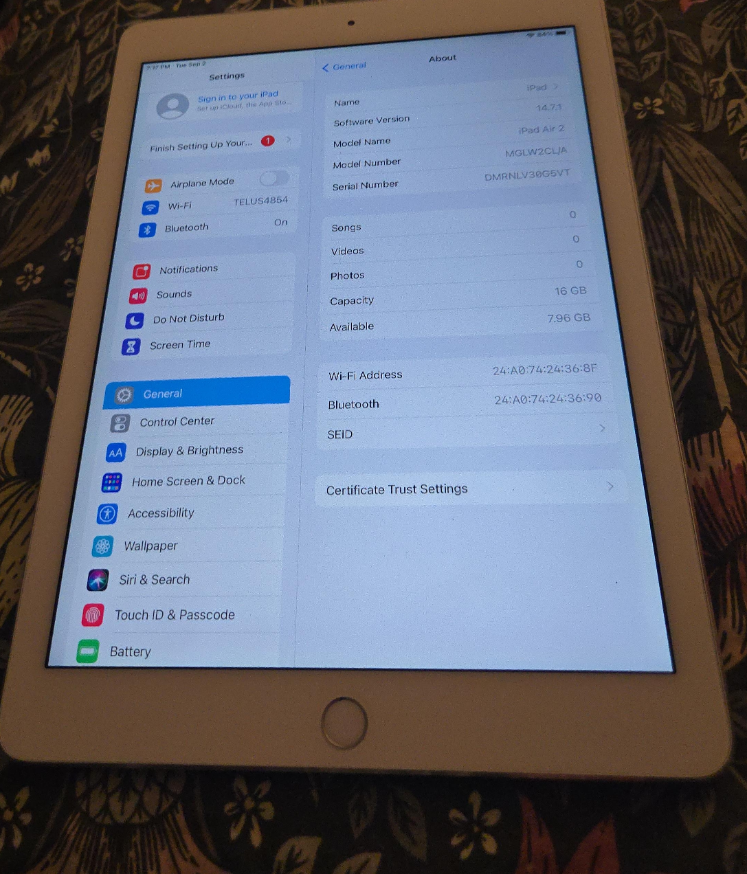 🥕 Apple iPad Air 2, 16GB - Great Condition!