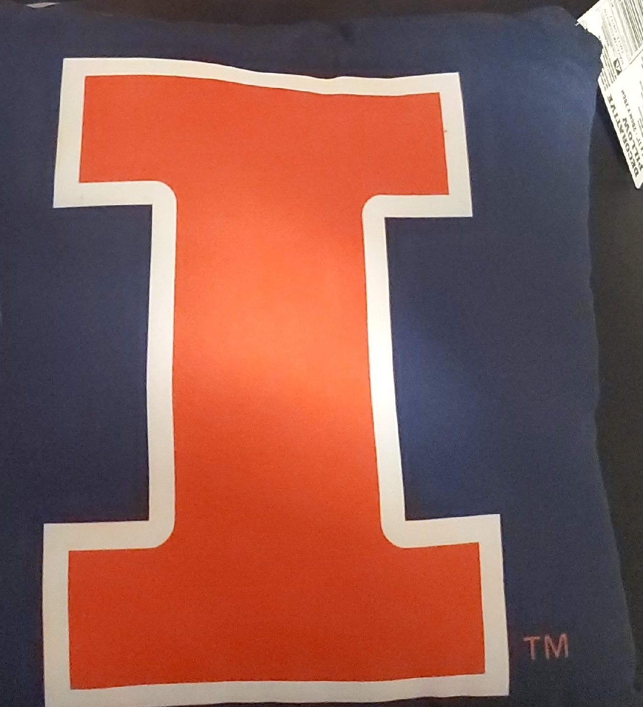 Illinois Fighting Illini Decorative Pillow 11" x 11" thumbnail