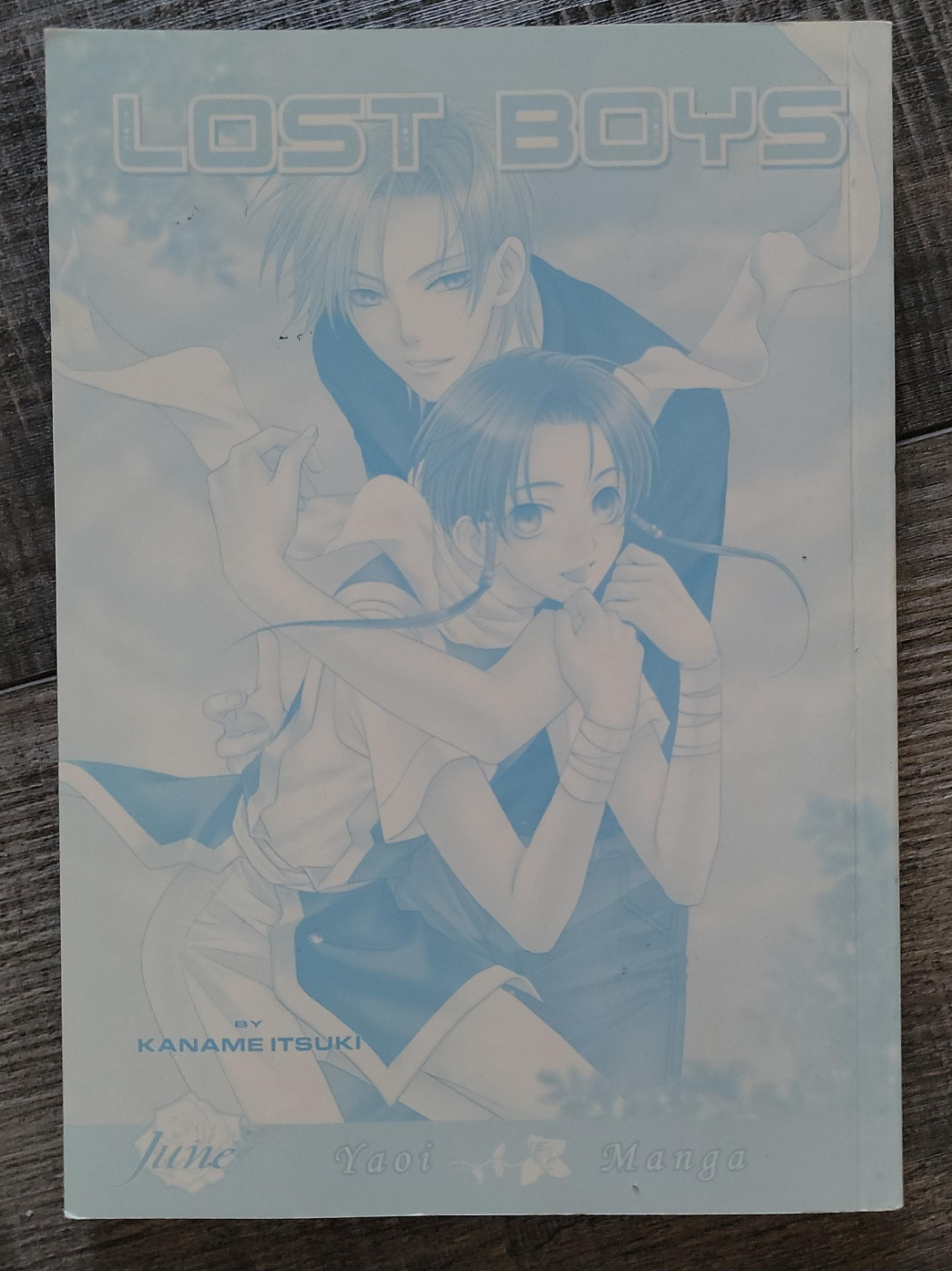 🥕 Lost Boys Yaoi Manga by Kaname Itsuki thumbnail