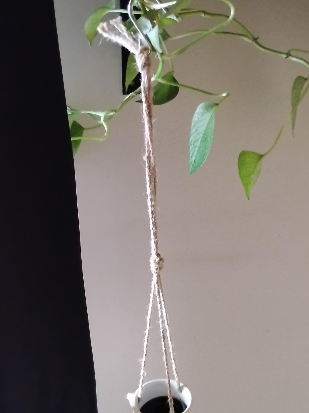 Small Hanging Plant Holder with Pot 🥕 thumbnail