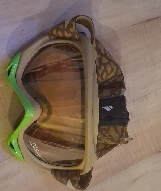 TSG Goggles