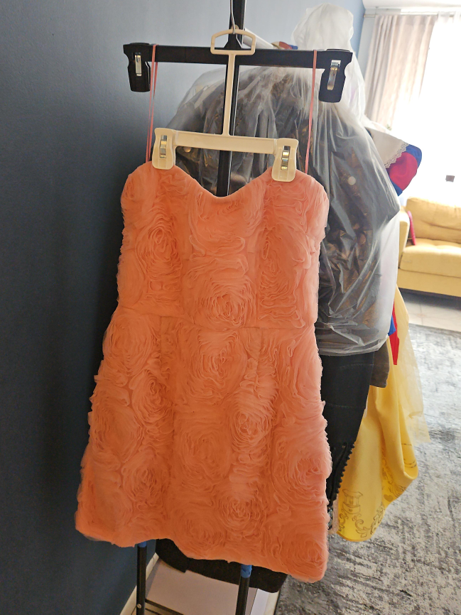 Peach Strapless Mini Dress with Floral Detail thumbnail