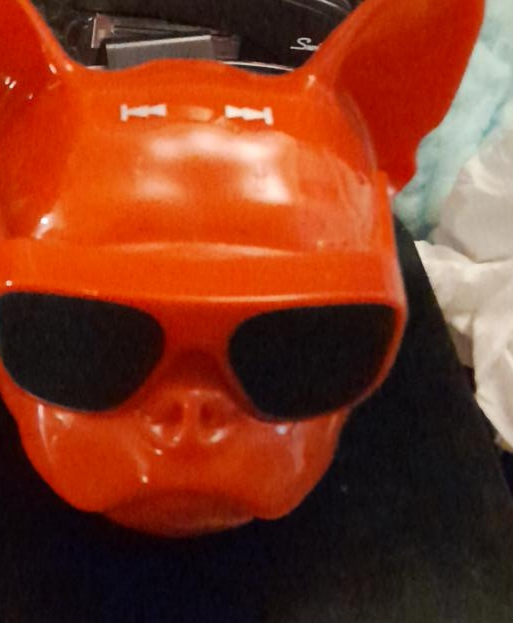 Orange Bulldog Speaker+🥕 thumbnail